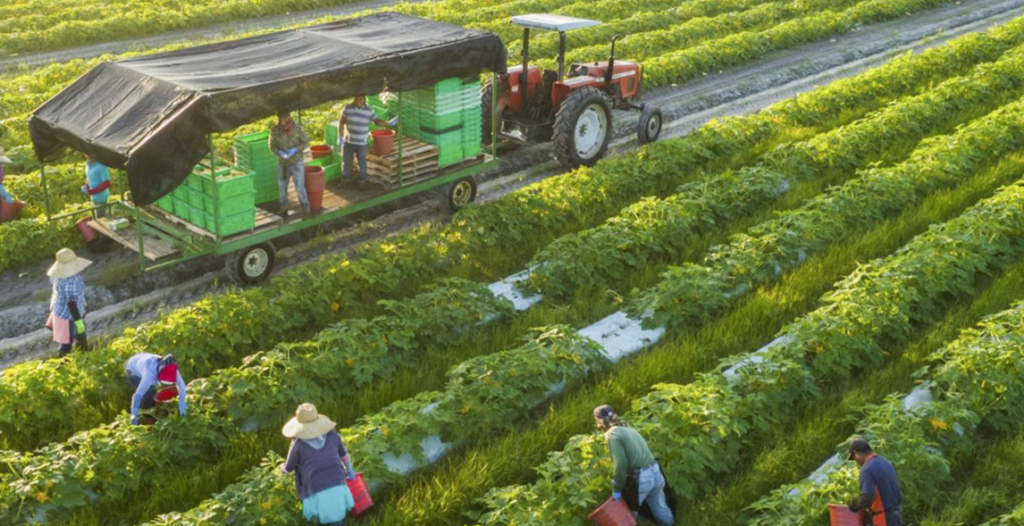 Top 9 Cửa hàng vật tư nông nghiệp uy tín nhất TP. HCM