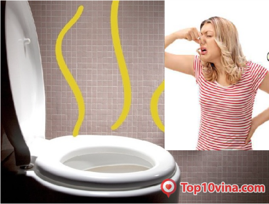 Hướng dẫn khử mùi hôi bồn cầu