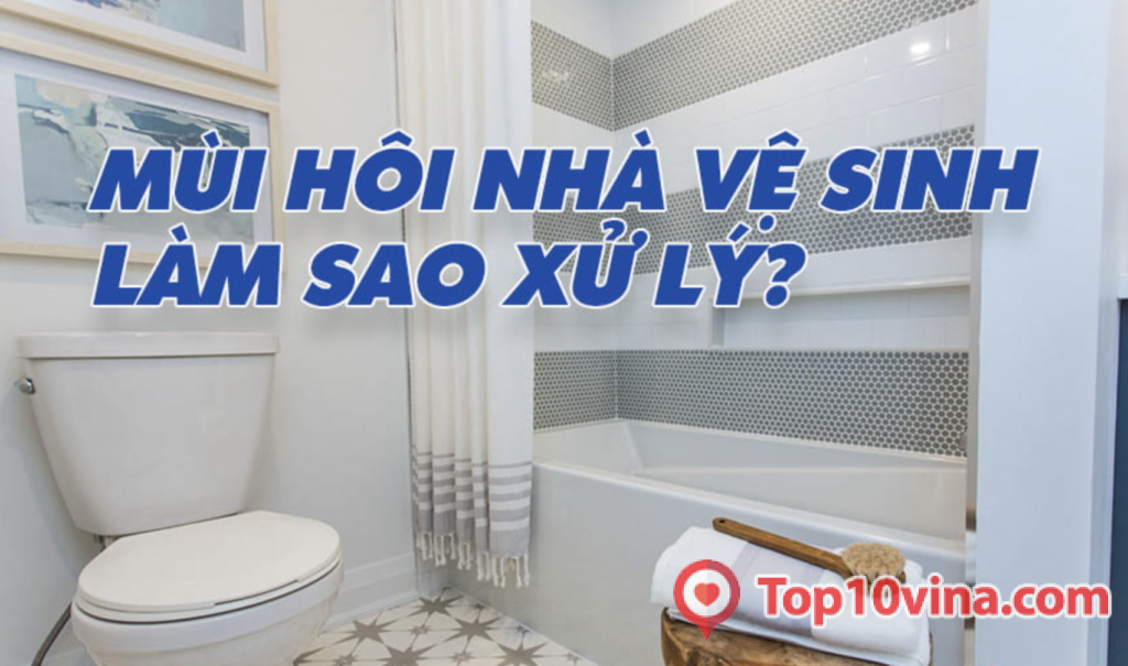 Hướng dẫn khử mùi hôi nhà vệ sinh