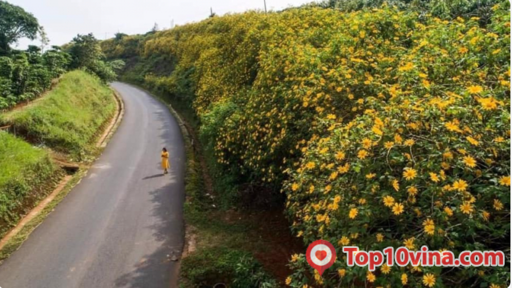homestay view đẹp